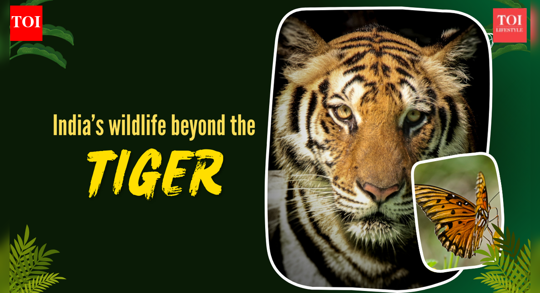 8 iconic wildlife reserves in India where the tiger is not the star attraction