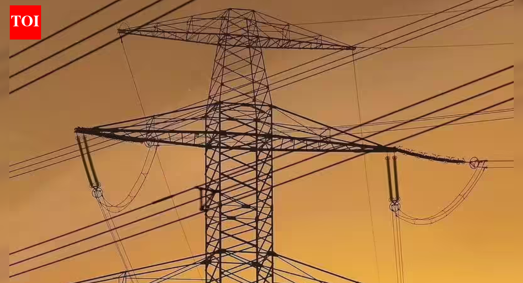 . NEW DELHI: Observing a clear mismatch between research needs in the power sector and the efforts being made to address them, the central electricity authority (CEA) has sought suggestions from stakeholders to bridge the gap.The move comes as part of the exercise to prepare the National Electricity Plan (NEP) for the period 2027-28 to 2036-37. In a communication to the stakeholders, the CEA stated that the plan was being prepared in line with the national electricity policy, which is notified once every five years.According to officials, the CEA recently set up a panel to prepare the NEP for the next 10 years, which further constituted 11 sub-committees to examine different segments of the power sector and provide inputs. The sub-committee formed to focus on research and development noted a clear disconnect between the research requirements of the power industry and the academic research currently being undertaken by institutions.In a meeting held recently, the sub-committee, chaired by the Director General of the Central Power Research Institute and having members from academia, industry, and other institutions, underlined the need for adequate funding for breakthrough and transformative technologies. It stressed that manufacturing deliverables should be integrated with research and development activities to build end-to-end capabilities in the sector.“The objective is to strengthen collaboration between industry and research institutions, encourage greater engagement of academia with industry stakeholders, and secure industry participation in terms of resources,” the CEA said, adding that constructive proposals would be discussed at the next meeting of the sub-committee.About the AuthorAtul MathurAtul Mathur is a Senior Assistant Editor at The Times of India with over 27 years of experience in journalism. Based in Delhi, he has spent much of his career reporting on governance, public policy and politics, churning out researched, data-driven stories that impact daily lives. Atul is known for investigative depth and strong human-interest narratives as he strives to bring clarity and context to complex issues. He currently tracks the energy sector, writing on power, renewable energy, coal and mines.Read MoreEnd of ArticleFollow Us On Social MediaVideos”We Are Not Safe…” Unnao Rape Victim’s Mother Manhandled, Protest StoppedIndian Travel Vlogger Anant Mittal Held In China, Comments On Arunachal Pradesh Trigger DetentionFrom Pride To Distress Sale: Pakistan Sells State-Owned PIA For Rs 135 Billion As Economy BucklesCalm With India, Weapons For Pakistan: Pentagon Report Warns Of China’s Strategic Balancing ActAssam’s Karbi Anglong Gripped By Violence, Internet Suspended As Anger Over ‘Encroachers’ Explodes‘Can’t Stay Two Days In Delhi’: Gadkari On Severe Pollution, Transport Sector Role’Batenge Toh Katenge’: Uddhav & Raj Thackeray Unite For Mumbai Civic Polls | Shiv Sena (UBT) | MNSBluebird Lift-Off Shows ISRO Commercial Power As Nambi Narayanan Calls LVM-3 Game Changer MoveYunus Govt Takes Responsibility Of Dipu Das Family After India Erupts Over Hindu Man’s LynchingOsman Hadi’s Brother Accuses Yunus Regime Of Murder Plot To Defer Bangladesh Polls Scheduled in Feb123Photostories2026 Spiritual Guide For Your Birth Number: How to Strengthen Your Inner Self2025’s headline-grabbing star kids:Aryan Khan, Rasha Thadani, Shanaya Kapoor and more7 comforting winter raitas to add warmth to daily mealsMeet 7 birds of Indian forests that are also masters of camouflageYear ender 2025: Love anthems that ruled playlists from ‘Metro… In Dino’ to ‘Saiyara’7 profound quotes from Herman Melville’s Moby-Dick that still resonate8 iconic wildlife reserves in India where the tiger is not the star attractionWhat kind of energy you absorb from others based on your birth dateThe lost tales of the ‘Chequers Ring’: The jewel linked to Queen Elizabeth I and Anne BoleynIndia’s very own ‘Norway’: Destinations that resemble the beautiful European destination and are best visited in winter123Hot PicksUAE WeatherPAN-Aadhaar linkingKarbi Anglong CurfewGold rate todayIncome Tax RefundPublic Holidays DecemberBank Holidays DecemberTop TrendingTaylor SwiftLIC Home Loan Interest RateMunetaka MurakamiConnor Bedard Net WorthAleksander Barkov GirlfriendAuston MatthewsITR RefundTrey Yesavage and Taylor Fricks EngagementJade Cargill and Brandon Net WorthMax Holloway Net Worth