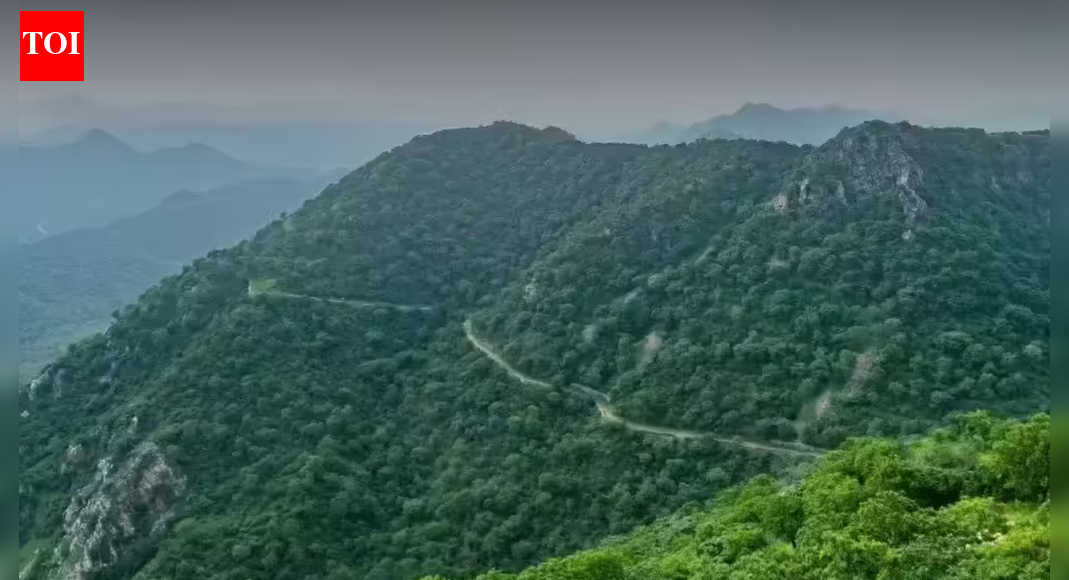 Will increase mining-free zones in Aravalis: Centre | India News