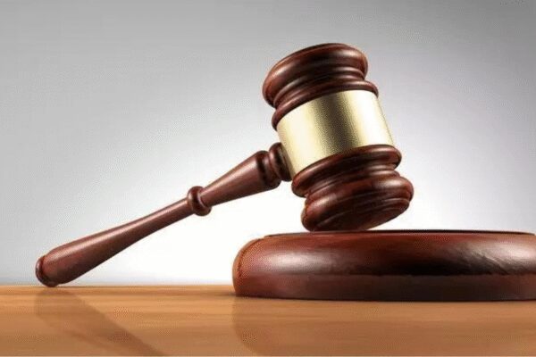 ‘Criminals are operating with impunity’: Punjab and Haryana high court censures Punjab police over law and order; summons DGP