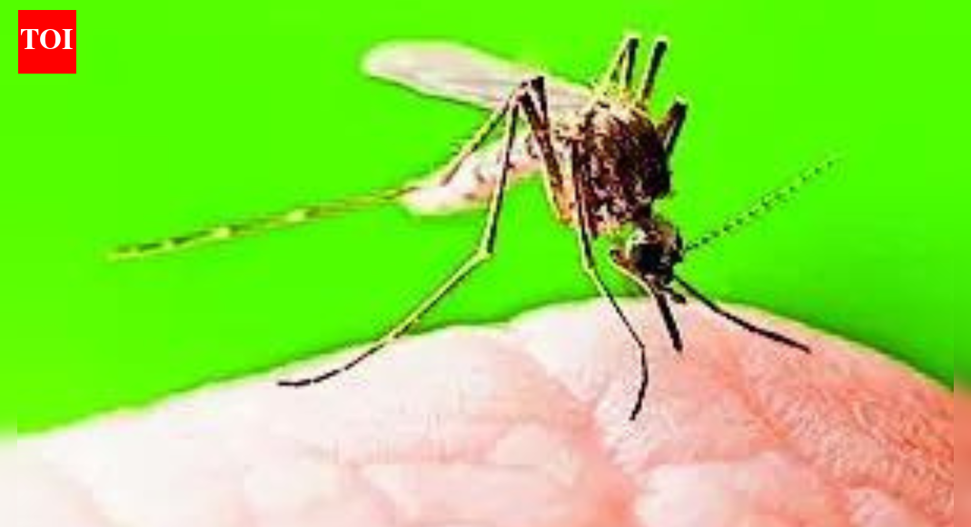 Representative image NEW DELHI: India has recorded steep declines in malaria, tuberculosis, maternal and child deaths, signalling what the government calls a decisive, results-driven phase in the country’s public-health journey.Addressing the Advancing Public Health Outcomes Forum 2025 on Wednesday, Union health minister JP Nadda said the gains were based on sustained political commitment, strong scientific capacity and people’s participation, rather than isolated programmes. “Disease control and immunisation outcomes today are the result of institutional strength and Jan Bhagidari,” he said.Incidence of malaria has dropped by over 80%, with deaths down 78%, shifting India from a high-burden to a high-impact phase. Incidence of tuberculosis has fallen from 237 cases per lakh population in 2015 to 187 per lakh — a 21% decline, nearly double the global average. Maternal mortality has reduced from 130 per lakh live births in 2014 to 88 in 2025, while infant mortality has declined from 39 to 27 per 1,000 live births. Under-five and neonatal mortality rates have also fallen far faster in India than globally.At the forum, four national reports reviewed progress on malaria, tuberculosis, lymphatic filariasis and immunisation. While they show that sustained programmes have sharply reduced the disease burden across most regions, they warn that the final phase of elimination will be the most demanding.The malaria assessment found transmission persisting in tribal, forested and hard-to-reach areas, with emerging risks in some urban pockets. As cases fall, experts cautioned that asymptomatic infections could be missed unless surveillance remains strong.The lymphatic filariasis report flagged gaps in post-treatment districts, especially in urban slums, industrial belts and migrant settlements. Uneven drug uptake, weak follow-up and limited morbidity care could threaten the 2027 elimination target despite years of mass drug administration.On tuberculosis, expanded diagnostics, digital tracking & newer regimens have improved outcomes, but poverty, malnutrition, migration and co-morbidities continue to drive transmission. Disruptions in care for migrants & the growing burden of post-TB lung disease among survivors were highlighted as major concerns.The immunisation assessment pointed to strong childhood coverage but warned of problems beyond early life—gaps in adolescent and adult vaccination, data inconsistencies and the absence of a life-course immunisation strategy.Strengthening primary healthcare remains central to the government’s approach. Nadda reiterated the goal of one Ayushman Arogya Mandir for every 2,000 people, noting that over 30,000 centres have already achieved national quality certification.About the AuthorAnuja JaiswalAnuja Jaiswal is a Senior Assistant Editor at The Times of India, with an impressive 18-year career in narrative journalism. She specializes in health and heritage reporting, expertly simplifying complex health information to make it engaging and understandable for readers. Her deep dives into heritage topics are well-researched, resulting in captivating narratives that resonate with her audience. Over the years, she has worked in Chandigarh, Chhattisgarh and West UP, gaining diverse on-ground experience that shapes her storytelling.Read MoreEnd of ArticleFollow Us On Social MediaVideosBangladesh Situation Remains Very Fluid as Unrest Grows Ahead of 2026 Elections: Journalist”Stop This Nonsense…”: Tharoor Lambasts Bangladesh Govt Over Lynching of Hindu ManEnd Of H-1B Lottery: Donald Trump Overhauls US Work Visa System Prioritising High Pay And SkillsISRO’s Heaviest Launch Yet: Five Reasons Why BlueBird-2 Marks India’s Big Leap In Global Space Race‘Mouths shut when Hindus are killed’: Yogi targets opposition in Assembly”We Are Not Safe…” Unnao Rape Victim’s Mother Manhandled, Protest StoppedIndian Travel Vlogger Anant Mittal Held In China, Comments On Arunachal Pradesh Trigger DetentionFrom Pride To Distress Sale: Pakistan Sells State-Owned PIA For Rs 135 Billion As Economy BucklesCalm With India, Weapons For Pakistan: Pentagon Report Warns Of China’s Strategic Balancing ActAssam’s Karbi Anglong Gripped By Violence, Internet Suspended As Anger Over ‘Encroachers’ Explodes123PhotostoriesFrom ‘My Secret Santa’ to ‘Meet Me Next Christmas’: Best Christmas movies to watch on OTT2 easy recipes that lower blood pressure naturallyTotal number of Birkin bags owned by Jane Birkin: The answer will surprise you10 cheapest countries to visit with surprisingly low daily costs2026 Spiritual Guide For Your Birth Number: How to Strengthen Your Inner Self2025’s headline-grabbing star kids:Aryan Khan, Rasha Thadani, Shanaya Kapoor and more7 comforting winter raitas to add warmth to daily mealsMeet 7 birds of Indian forests that are also masters of camouflageYear ender 2025: Love anthems that ruled playlists from ‘Metro… In Dino’ to ‘Saiyara’7 profound quotes from Herman Melville’s Moby-Dick that still resonate123Hot PicksUAE WeatherPAN-Aadhaar linkingKarbi Anglong CurfewGold rate todayIncome Tax RefundPublic Holidays DecemberBank Holidays DecemberTop TrendingTaylor SwiftPaul RuddPatrick MahomesMegan Thee Stallion Net Worth 2025Travis KelceJoel EmbiidSavannah James Net WorthSophie CunninghamDrew McIntyre and Kaitlyn Frohnapfel Net WorthKhamzat Chimaev