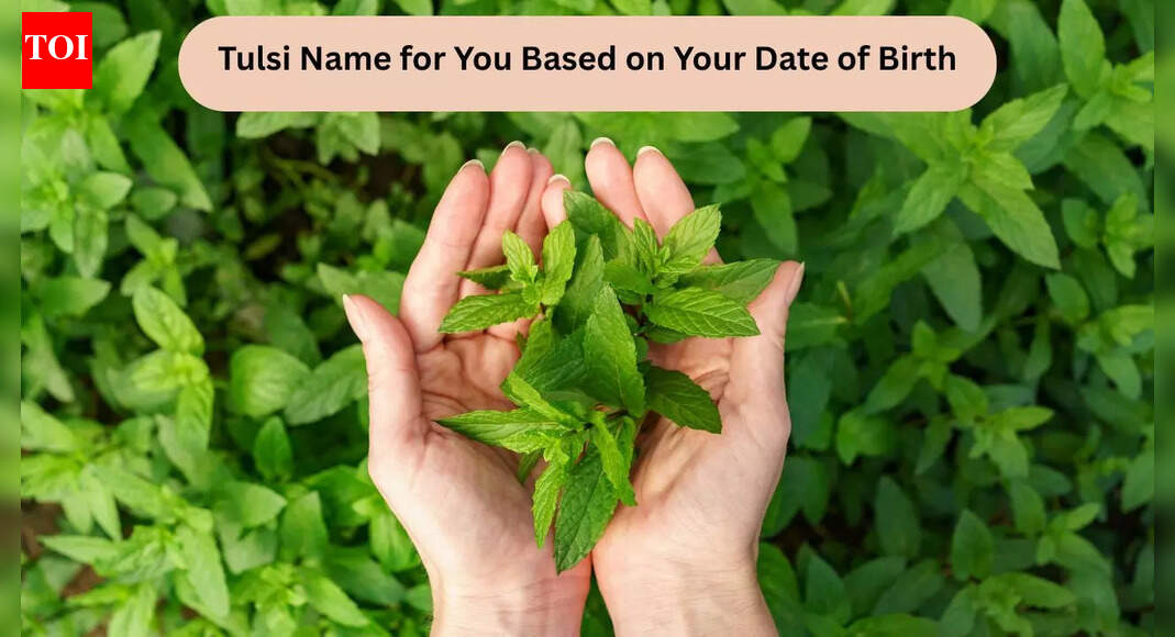 Tulsi Name For You Based On Your Date of Birth