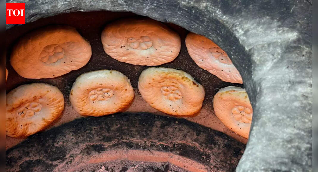 Love tandoori food but don’t have a tandoor? Try these methods instead |