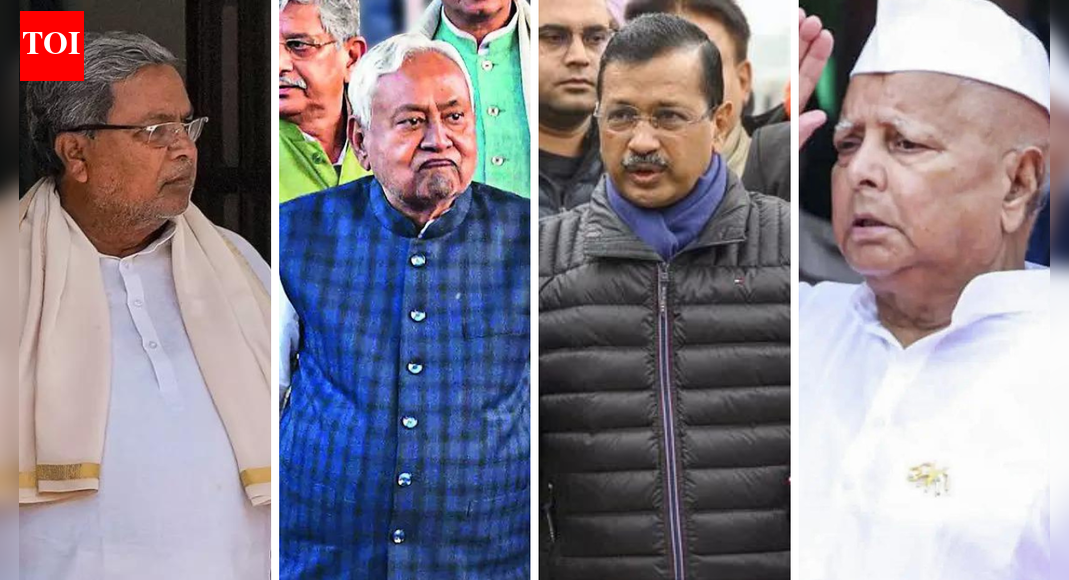 Political scorecard in 2025: Top 10 winners and losers of this year | India News