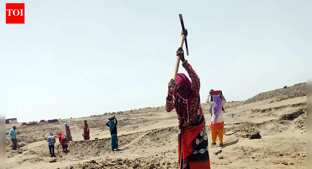 Parl panel omits G RAM G bill reference; its chairperson insists will discuss it | India News