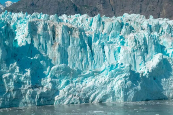 Could global warming paradoxically freeze the planet: How tiny ocean organisms could flip Earth’s climate