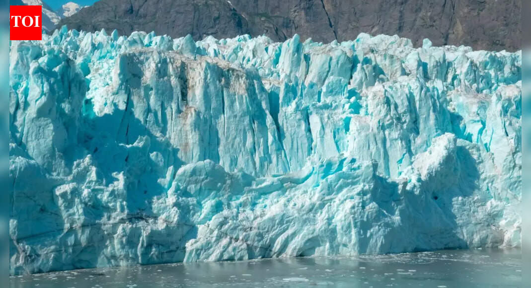 Could global warming paradoxically freeze the planet: How tiny ocean organisms could flip Earth’s climate