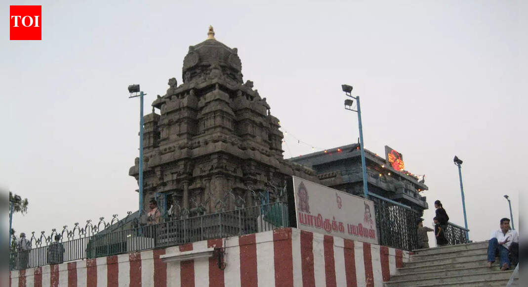 A slice of the South in the North: 8 South Indian temples in Delhi |