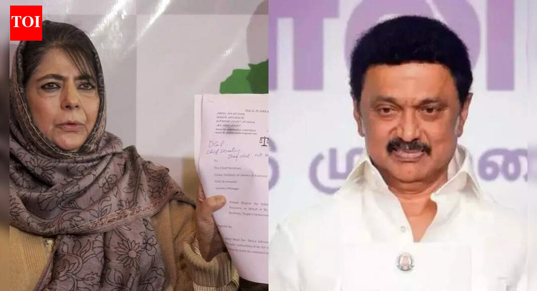 ‘Ask Stalin to speak in Urdu or English’: Mehbooba Mufti snaps at journalist; continues to use Kashmiri – watch