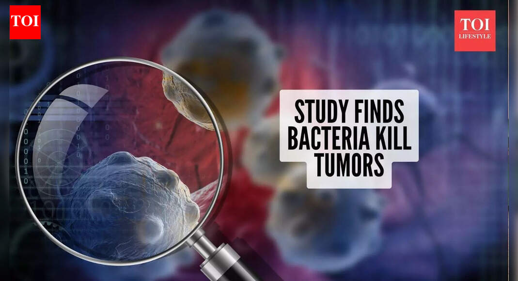 This naturally occurring bacterium killed tumors more effectively than cancer drugs in mice