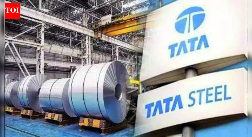 Health risks: Tata Steel units sued for .6 billion by Dutch NGO