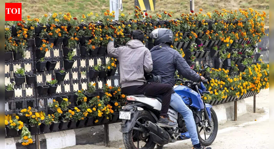 Watch: 7k flower pots looted after PM Modi opens Rashtra Prerna Sthal in UP; 30 security personnel deployed