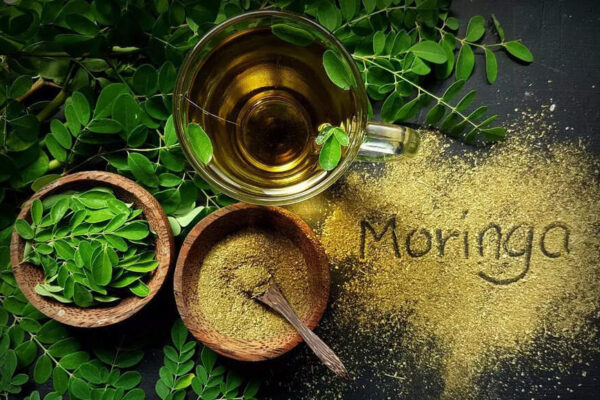 Could chewing moringa leaves really boost your health? |