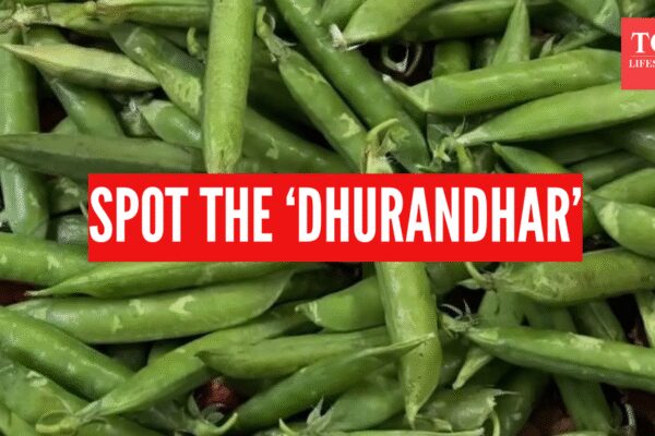 Put your eyes to test and spot the ‘Dhurandhar’ in this viral video