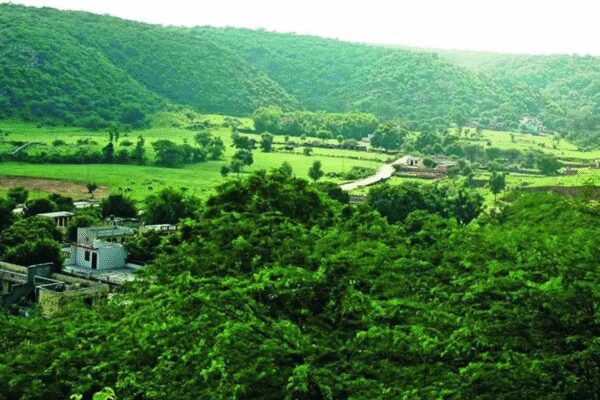 Representative image JAIPUR: Over 1,230 mining leases, most of them disputed, continue to exist across Rajasthan’s Aravali region. Together, these leases cover 17,393 hectares within the Aravali system.”At present, most leases in the Aravalis are under dispute and pending before courts. Some mines are closed, while others continue to operate,” a senior mining official said.Incidentally, Rajasthan mining department was considering a proposal to lease out additional pits for excavation in the Aravalis but the Centre invoked a blanket ban on the grant of new mining leases in the mountain range following public outcry over a proposed “new definition” of one of the world’s oldest mountain ranges.An official source said, “The mining department issued notifications for 126 new leases in Nov 2025. Of these, 50 are located within Aravali districts, while 76 fall outside the Aravali region.”District-wise data highlights the scale of concentration, with Rajsamand district alone accounting for over 540 leases. Udaipur follows with 162 leases and Jaipur has 139. Alwar, Sirohi, and Bhilwara together account for over 250 leases, reflecting how deeply mining has penetrated the Aravali belt.Mining expert Pradeep Singh said the new ban does not cancel existing permissions retrospectively, allowing hundreds of leases to continue, particularly in Rajasthan. “In many areas where leases are operational, environmental degradation is visible and, in several places, irreversible. Hills have been hollowed out, forest cover has thinned, and natural drainage systems have been disrupted,” he said.Across Rajasthan, the mining footprint extends far beyond the Aravalis. The state has 16,116 mining leases, of which around 10,060 are operational, along with nearly 18,000 quarry licences.Mining expert Kishore Kumawat said area-wise data within the Aravali region shows Udaipur accounting for 6,084 hectares under mining, followed by Sojat with 2,575.4 hectares, Bhilwara with 1,229 hectares, and Rajsamand with nearly 800 hectares.End of ArticleFollow Us On Social MediaVideos’MGNREGA Bachao Abhiyan’: Congress Announces Nationwide Protest Against VB-G RAM G ActShimla Hospital Assault: Doctors’ Strike Cripples OPDs, Surgeries Across Himachal PradeshCongress Rift Out In Open? Digvijaya Singh’s Modi-RSS Praise Draws Jibes From BJP Amid CWC MeetMass Exodus Of Skilled Professionals In Pakistan: Report Exposes Asim Munir’s ‘Brain Gain’ ClaimBJP Alleges Anti-India Global Nexus As Congress Leader Rahul Gandhi’s Germany Visit Sparks Fresh RowIndia, Asia Are Rising As Global Epicentres While US, Europe Lose Grip On Power: Russian AmbassadorCWC Meet: Top Congress Leaders Huddle Up In Delhi, Discuss Action Against Govt On G RAM G LawOperation Aaghat 3.0 Crushes Crime As Delhi Police Arrest 660 Accused Ahead Of New Year CelebrationsBJP MP Anurag Thakur Links Ram Name Objection to Congress Decline, Defends New Rural Jobs LawNew Zealand PM Defends India FTA as Economic Game Changer Despite Sharp Objections from Ally123PhotostoriesSelf-care Sunday: When self-care means saying no (even to people you love)6 authentic Italian vegetarian pizzas you need to try at least onceExclusive – Priyanka Chahar Choudhary breaks silence on ‘going under the knife’ rumours, Naagin comparisons, and her Naagin 7 lookDementia symptoms: The Quiet Red Flags That Have Nothing to Do With Memory LossTop medical advice from doctors that went viral in 2025The Inner Strength You Discovered This Year Based On Your Birth DatePull&Bear to Bershka: We bet you didn’t know Zara has these sister brandsSaffron, dates, and almonds: The holy trinity to help boost your immunity in winterPsychology reveals: People raised in lower-middle-class families often develop these 5 habits and qualities the rich don’t5 life-threatening diseases linked to air pollution123Hot PicksUAE WeatherPAN-Aadhaar linkingAmrit MondalGold rate todayIncome Tax RefundIndian Railways fareBank Holidays DecemberTop TrendingFrank Lampard and Christine Lampard Net WorthJordan Spieth Net WorthRicky Tiedemann InjuryBode Miller Net WorthTravis KelceAnthony JoshuaPatrick MahomesRaghav ChadhaBryan Woo Net WorthNBA Playoff