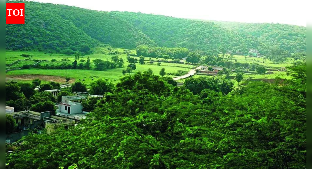 Representative image JAIPUR: Over 1,230 mining leases, most of them disputed, continue to exist across Rajasthan’s Aravali region. Together, these leases cover 17,393 hectares within the Aravali system.”At present, most leases in the Aravalis are under dispute and pending before courts. Some mines are closed, while others continue to operate,” a senior mining official said.Incidentally, Rajasthan mining department was considering a proposal to lease out additional pits for excavation in the Aravalis but the Centre invoked a blanket ban on the grant of new mining leases in the mountain range following public outcry over a proposed “new definition” of one of the world’s oldest mountain ranges.An official source said, “The mining department issued notifications for 126 new leases in Nov 2025. Of these, 50 are located within Aravali districts, while 76 fall outside the Aravali region.”District-wise data highlights the scale of concentration, with Rajsamand district alone accounting for over 540 leases. Udaipur follows with 162 leases and Jaipur has 139. Alwar, Sirohi, and Bhilwara together account for over 250 leases, reflecting how deeply mining has penetrated the Aravali belt.Mining expert Pradeep Singh said the new ban does not cancel existing permissions retrospectively, allowing hundreds of leases to continue, particularly in Rajasthan. “In many areas where leases are operational, environmental degradation is visible and, in several places, irreversible. Hills have been hollowed out, forest cover has thinned, and natural drainage systems have been disrupted,” he said.Across Rajasthan, the mining footprint extends far beyond the Aravalis. The state has 16,116 mining leases, of which around 10,060 are operational, along with nearly 18,000 quarry licences.Mining expert Kishore Kumawat said area-wise data within the Aravali region shows Udaipur accounting for 6,084 hectares under mining, followed by Sojat with 2,575.4 hectares, Bhilwara with 1,229 hectares, and Rajsamand with nearly 800 hectares.End of ArticleFollow Us On Social MediaVideos’MGNREGA Bachao Abhiyan’: Congress Announces Nationwide Protest Against VB-G RAM G ActShimla Hospital Assault: Doctors’ Strike Cripples OPDs, Surgeries Across Himachal PradeshCongress Rift Out In Open? Digvijaya Singh’s Modi-RSS Praise Draws Jibes From BJP Amid CWC MeetMass Exodus Of Skilled Professionals In Pakistan: Report Exposes Asim Munir’s ‘Brain Gain’ ClaimBJP Alleges Anti-India Global Nexus As Congress Leader Rahul Gandhi’s Germany Visit Sparks Fresh RowIndia, Asia Are Rising As Global Epicentres While US, Europe Lose Grip On Power: Russian AmbassadorCWC Meet: Top Congress Leaders Huddle Up In Delhi, Discuss Action Against Govt On G RAM G LawOperation Aaghat 3.0 Crushes Crime As Delhi Police Arrest 660 Accused Ahead Of New Year CelebrationsBJP MP Anurag Thakur Links Ram Name Objection to Congress Decline, Defends New Rural Jobs LawNew Zealand PM Defends India FTA as Economic Game Changer Despite Sharp Objections from Ally123PhotostoriesSelf-care Sunday: When self-care means saying no (even to people you love)6 authentic Italian vegetarian pizzas you need to try at least onceExclusive – Priyanka Chahar Choudhary breaks silence on ‘going under the knife’ rumours, Naagin comparisons, and her Naagin 7 lookDementia symptoms: The Quiet Red Flags That Have Nothing to Do With Memory LossTop medical advice from doctors that went viral in 2025The Inner Strength You Discovered This Year Based On Your Birth DatePull&Bear to Bershka: We bet you didn’t know Zara has these sister brandsSaffron, dates, and almonds: The holy trinity to help boost your immunity in winterPsychology reveals: People raised in lower-middle-class families often develop these 5 habits and qualities the rich don’t5 life-threatening diseases linked to air pollution123Hot PicksUAE WeatherPAN-Aadhaar linkingAmrit MondalGold rate todayIncome Tax RefundIndian Railways fareBank Holidays DecemberTop TrendingFrank Lampard and Christine Lampard Net WorthJordan Spieth Net WorthRicky Tiedemann InjuryBode Miller Net WorthTravis KelceAnthony JoshuaPatrick MahomesRaghav ChadhaBryan Woo Net WorthNBA Playoff