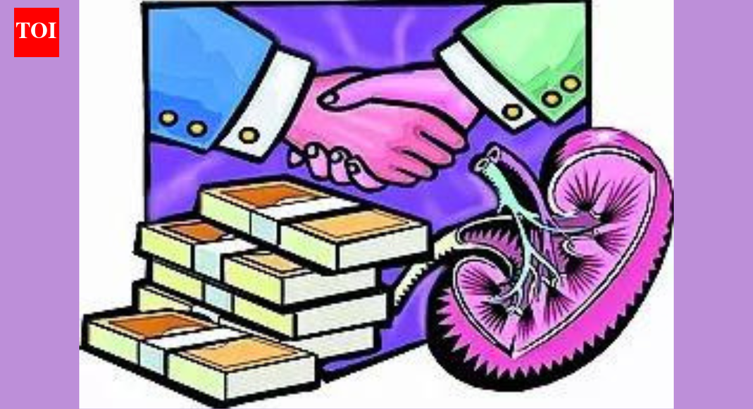 Representative image CHANDRAPUR: The SIT probing illegal sale of a farmer’s kidney in Chandrapur, Maharashtra, has uncovered a direct operational link to China. Fresh disclosures indicate that a Chinese surgeon, Dr Chiang, conducted transplant procedures in Cambodia and supplied harvested organs to clients in his home country.The revelations, based on statements of two key accus-ed during interrogation, have prompted officials to expand the scope of inquiry across international networks.Police sources said Ramakrishna Sunchu of Solapur (who also posed as ‘Dr Krishna’ and Mallesh) and Himanshu Bhardwaj from Mohali, Punjab, told interrogators Chiang performed the surgeries and ensured that all procured kidneys were routed to Chinese recipients.The kidney of Roshan Kule, a marginal farmer from Minthur village who was lured into selling his organ, was allegedly transplanted to a patient in China within 12 hours of the kidney removal, sources said.Investigators believe Chiang played a key role in recruiting intermediaries, allegedly enticing Sunchu and Bhardwaj with significant financial rewards to supply donors. Police are pursuing the third accused in the chain from West Bengal, who remains on the run.All for lady love Himanshu Bhardwaj once ran a tour and travel business. His life took a turn when he fell in love with a young woman and began taking care of all her expenses. When she expressed her desire to travel to the US, Himanshu decided to fulfil her dream — even if it meant selling his own kidney. That decision made him enter the kidney trade. End of ArticleFollow Us On Social MediaVideos’MGNREGA Bachao Abhiyan’: Congress Announces Nationwide Protest Against VB-G RAM G ActShimla Hospital Assault: Doctors’ Strike Cripples OPDs, Surgeries Across Himachal PradeshCongress Rift Out In Open? Digvijaya Singh’s Modi-RSS Praise Draws Jibes From BJP Amid CWC MeetMass Exodus Of Skilled Professionals In Pakistan: Report Exposes Asim Munir’s ‘Brain Gain’ ClaimBJP Alleges Anti-India Global Nexus As Congress Leader Rahul Gandhi’s Germany Visit Sparks Fresh RowIndia, Asia Are Rising As Global Epicentres While US, Europe Lose Grip On Power: Russian AmbassadorCWC Meet: Top Congress Leaders Huddle Up In Delhi, Discuss Action Against Govt On G RAM G LawOperation Aaghat 3.0 Crushes Crime As Delhi Police Arrest 660 Accused Ahead Of New Year CelebrationsBJP MP Anurag Thakur Links Ram Name Objection to Congress Decline, Defends New Rural Jobs LawNew Zealand PM Defends India FTA as Economic Game Changer Despite Sharp Objections from Ally123Photostories5 important lessons on wealth generation from Ramit Sethi’s ‘I Will Teach You to Be Rich’Shimmer to Organza: The five sarees Bollywood keeps reaching forSelf-care Sunday: When self-care means saying no (even to people you love)6 authentic Italian vegetarian pizzas you need to try at least onceExclusive – Priyanka Chahar Choudhary breaks silence on ‘going under the knife’ rumours, Naagin comparisons, and her Naagin 7 lookDementia symptoms: The Quiet Red Flags That Have Nothing to Do With Memory LossTop medical advice from doctors that went viral in 2025The Inner Strength You Discovered This Year Based On Your Birth DatePull&Bear to Bershka: We bet you didn’t know Zara has these sister brandsSaffron, dates, and almonds: The holy trinity to help boost your immunity in winter123Hot PicksUAE WeatherPAN-Aadhaar linkingAmrit MondalGold rate todayIncome Tax RefundIndian Railways fareBank Holidays DecemberTop TrendingFrank Lampard and Christine Lampard Net WorthJordan Spieth Net WorthRicky Tiedemann InjuryBode Miller Net WorthTravis KelceAnthony JoshuaPatrick MahomesRaghav ChadhaBryan Woo Net WorthNBA Playoff