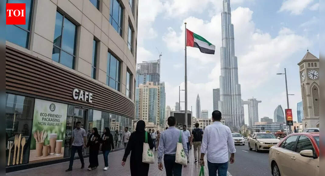 What will change in the UAE From January 2026? New rules every resident must know to avoid fines | World News