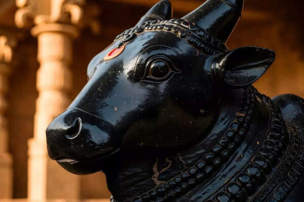 These animal statue you can bring home in the year 2026 for money