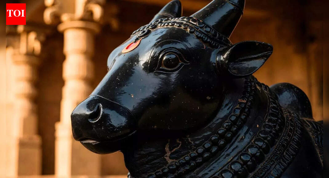 These animal statue you can bring home in the year 2026 for money