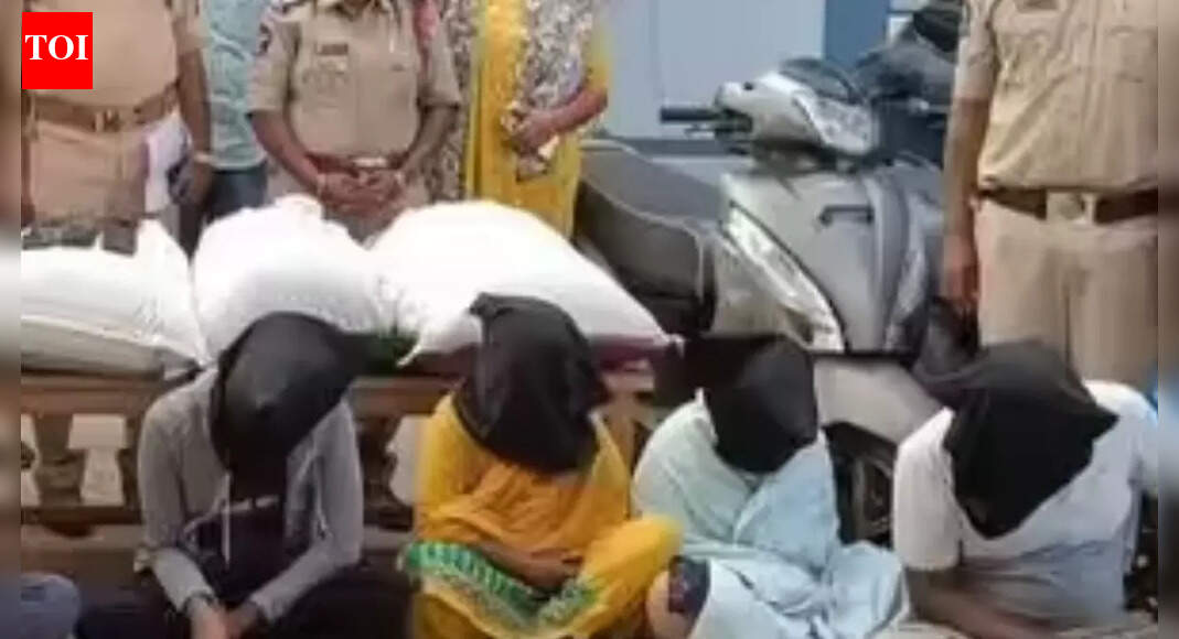 How Bengaluru techie became Andhra’s ‘lady don’; arrested for supplying ‘Sheelavathi strain’