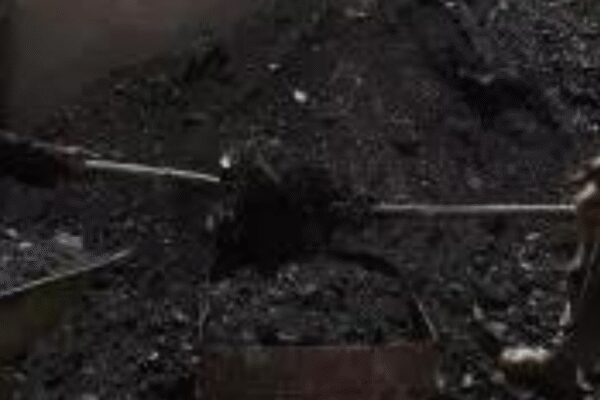 NEW DELHI: With coal production likely to reach 1.5 billion tonnes by 2030, the Centre has decided to set up coal exchanges to promote competitive markets for the sale of surplus thermal fuel. The Coal Controller Organisation has been appointed as the authority to register and regulate the trade bodies.Officials said the ministry of coal has already prepared the revised draft Coal Exchange Rules and sought comments and suggestions from stakeholders. These exchanges would facilitate the trading of coal as a commodity, and prospective operators will get authorisation from the CCO. A gazette notification appointing the CCO as the body to register and regulate the proposed exchanges was issued earlier this month.According to officials, several policy reforms in the coal sector have contributed to self-sufficiency and led to increased availability in the country. They added that coal production in India, which breached the 1-billion-tonne mark in 2024-25, is likely to grow beyond 1.5 billion tonnes by 2030. As per a recent report by the International Energy Agency, the country’s overall coal demand is also expected to rise by 17% over the next five years.With increased availability and demand for domestic coal, there would be a paradigm shift towards a surplus coal scenario, transforming existing sales mechanisms and necessitating market reforms backed by a regulatory framework.The CCO will have the authority to register the exchanges and revoke registrations, if need be, notify fees and other charges stipulated for the operation of exchanges, conduct market oversight, and keep a tab on their other activities. It will also notify guidelines and procedures for dispute and grievance redressal.Officials said the Mines and Minerals (Development and Regulation) Amendment Act, 2025, enacted by Parliament earlier this year, has empowered the central govt to promote the development of markets, including the trading of minerals, their concentrates or processed forms, through exchanges by framing rules and appointing an authority to register and regulate them.About the AuthorAtul MathurAtul Mathur is a Senior Assistant Editor at The Times of India with over 27 years of experience in journalism. Based in Delhi, he has spent much of his career reporting on governance, public policy and politics, churning out researched, data-driven stories that impact daily lives. Atul is known for investigative depth and strong human-interest narratives as he strives to bring clarity and context to complex issues. He currently tracks the energy sector, writing on power, renewable energy, coal and mines.Read MoreEnd of ArticleFollow Us On Social MediaVideos‘Love Jihad Claim False’: UP Woman Speaks Out After Bajrang Dal Crashes BirthdayUnnao Rape Case: Activists Protest Outside Delhi High Court Over Sengar BailShashi Tharoor Responds To Digvijaya Singh, Says Congress Needs Discipline, Not Lessons From RSSPakistan FM Says Islamabad Will Proactively Rebuild Relations With Bangladesh Post PollsHadi Killing: Dhaka Police Say Main Accused Escaped to India via MeghalayaPakistan FM Ishaq Dar Admits India Hit Nur Khan Air Base In Operation Sindoor Strikes‘Advised Me To Hide In Bunker’: Pak President Zardari On Op Sindoor, Responds To PM Modi’s WarningIndian Army Intensifies Anti-Terror Ops In J&K To Flush Out Pak Terrorists Amid Chillai KalanBJP Hails Shashi Tharoor’s Remarks On India’s Foreign Policy, Congress Hits Back‘Hindu Lives Matter’: Protest Outside Bangladesh High Commission In London Over Minority Killings123PhotostoriesIs foul-smelling poop a symptom of cancer?TV celebrities who passed away in 2025: From Satish Shah to Achyut PotdarBloating vs belly fat: Easy signs that tell the difference and why it matters10 rice dishes from around the worldAntibiotic resistance: Why common infections are getting harder to treatThalapathy Vijay fitness secrets: How simple workouts and balanced food keep him fit at 516 strange and haunting lines from books and classicsFrom hydrogen-powered water taxi to ethereal Ganga aarti: 5 reasons to visit VaranasiAjwain Water: The right way to make it, who should avoid it, and an Ayurvedic tip to consume10 morning chores that can instil discipline in kids123Hot PicksKuwait NYEPAN-Aadhaar linkingJeffrey EpsteinGold rate todayIncome Tax RefundIndian Railways fareBank Holidays DecemberTop TrendingFrank Lampard and Christine Lampard Net WorthJordan Spieth Net WorthJake Paul and Jutta Net WorthBode Miller Net WorthTravis KelceLola vice and Damian Net WorthPatrick MahomesNavjot Singh SidhuChloe KimNBA Trade Rumor