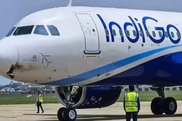 Aviation market share shift: IndiGo’s domestic lead narrows in November as Air India Group, SpiceJet gain ground