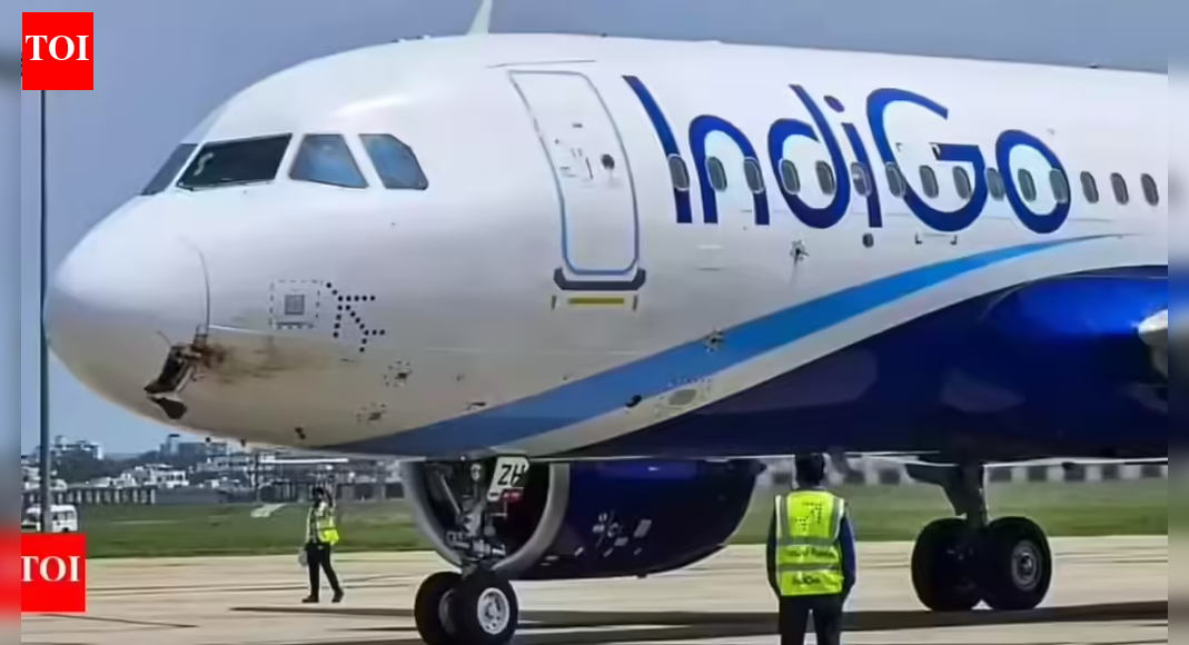 Aviation market share shift: IndiGo’s domestic lead narrows in November as Air India Group, SpiceJet gain ground