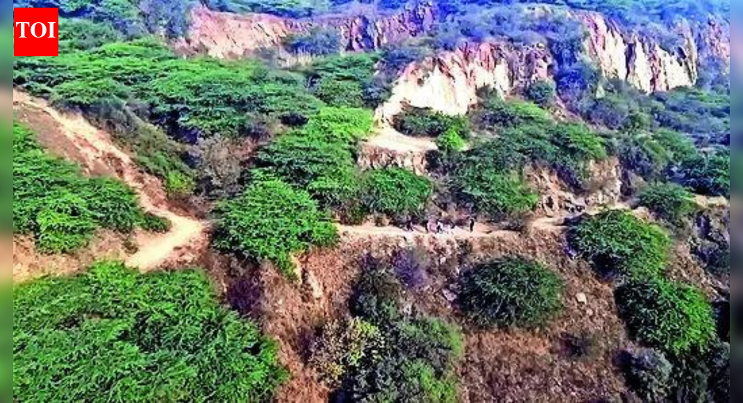 Aravali range NEW DELHI: Over the past two decades, Supreme Court has protected the Aravalis from activities that can harm ecologically sensitive zones, including in 2002 when it banned mining and pumping of groundwater within 5km of the Delhi border, and subsequently banned illegal mining in Haryana and Rajasthan.Even the PMO, on two occasions in April 2014 during the Manmohan Singh government and even last year, stepped in to stop the dilution of provision of 0.5% restriction on construction and other non-forest activities in Natural Conservation Zone (NCZ) in NCR which largely includes Aravalis and water bodies.”From 2002, SC has consistently passed orders restricting non-ecological activities in Aravalis. The PMO has also stepped in from time time to time to stop dilution of environmental norms. Surprisingly, the report submitted by the environment and forest ministry in the current case before the court seems to facilitate mining rather than conservation,” said M D Sinha, former principal chief conservator of forests in Haryana government.The series of SC orders from 2002 to 2019 shows that the court did not allow mining activities and even put Haryana’s PLPA Act, which would have resulted in large tracts of the Aravalis and Shiwaliks losing the legal forest tag, in abeyance.Activists fighting for protection of Aravalis said there had been consistent efforts by government entities, particularly in Haryana, to allow non-forest and real estate activities in the guise of creating recreational facilities. In 2014, then Haryana government’s push to relax the construction limit in Aravali beyond 0.5% during mid-term review of the NCR Regional Plan 2021 was stopped after the PMO directed the NCR Planning Board to take the environment ministry’s concerns on board.Again in 2022, Haryana pushed for doing away with mention of Aravali and NCZ in the Draft Regional Plan 2041 with a less restrictive “Natural Zone”, the provision that would remove this mandatory conservation requirement. When the matter came before the PMO and a Group of Ministers, they directed the housing and urban affairs ministry not to dilute the provision of NCZ and Aravali.End of ArticleFollow Us On Social MediaVideosOwaisi Urges Protection of Bangladesh Minorities Ahead of February Polls‘Love Jihad Claim False’: UP Woman Speaks Out After Bajrang Dal Crashes BirthdayUnnao Rape Case: Activists Protest Outside Delhi High Court Over Sengar BailShashi Tharoor Responds To Digvijaya Singh, Says Congress Needs Discipline, Not Lessons From RSSPakistan FM Says Islamabad Will Proactively Rebuild Relations With Bangladesh Post PollsHadi Killing: Dhaka Police Say Main Accused Escaped to India via MeghalayaPakistan FM Ishaq Dar Admits India Hit Nur Khan Air Base In Operation Sindoor Strikes‘Advised Me To Hide In Bunker’: Pak President Zardari On Op Sindoor, Responds To PM Modi’s WarningIndian Army Intensifies Anti-Terror Ops In J&K To Flush Out Pak Terrorists Amid Chillai KalanBJP Hails Shashi Tharoor’s Remarks On India’s Foreign Policy, Congress Hits Back123Photostories5 Bangkok facts you probably didn’t knowTV soaps that went off air in 2025: ‘Bade Achhe Lagte Hain 4’ to ‘Suman Indori’Is foul-smelling poop a symptom of cancer?TV celebrities who passed away in 2025: From Satish Shah to Achyut PotdarBloating vs belly fat: Easy signs that tell the difference and why it matters10 rice dishes from around the worldAntibiotic resistance: Why common infections are getting harder to treatThalapathy Vijay fitness secrets: How simple workouts and balanced food keep him fit at 516 strange and haunting lines from books and classicsFrom hydrogen-powered water taxi to ethereal Ganga aarti: 5 reasons to visit Varanasi123Hot PicksKuwait NYEPAN-Aadhaar linkingJeffrey EpsteinGold rate todayIncome Tax RefundIndian Railways fareBank Holidays DecemberTop TrendingFrank Lampard and Christine Lampard Net WorthJordan Spieth Net WorthJake Paul and Jutta Net WorthBode Miller Net WorthTravis KelceWayne GretzkyPatrick MahomesNavjot Singh SidhuChloe KimNew York Yankees