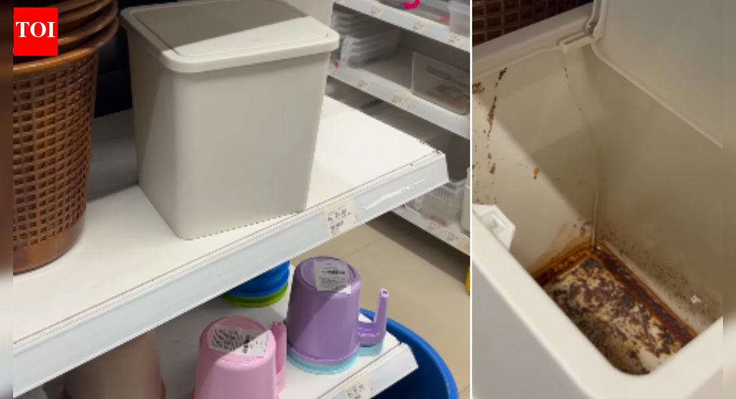 Watch: Video goes viral of gutka-stained dustbin on sale in Kanpur store; netizens point at lack of civic sense