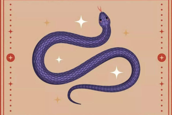 Chinese Snake Zodiac 2026 Horoscope: A Sudden Shift Could Force You to Rethink Everything