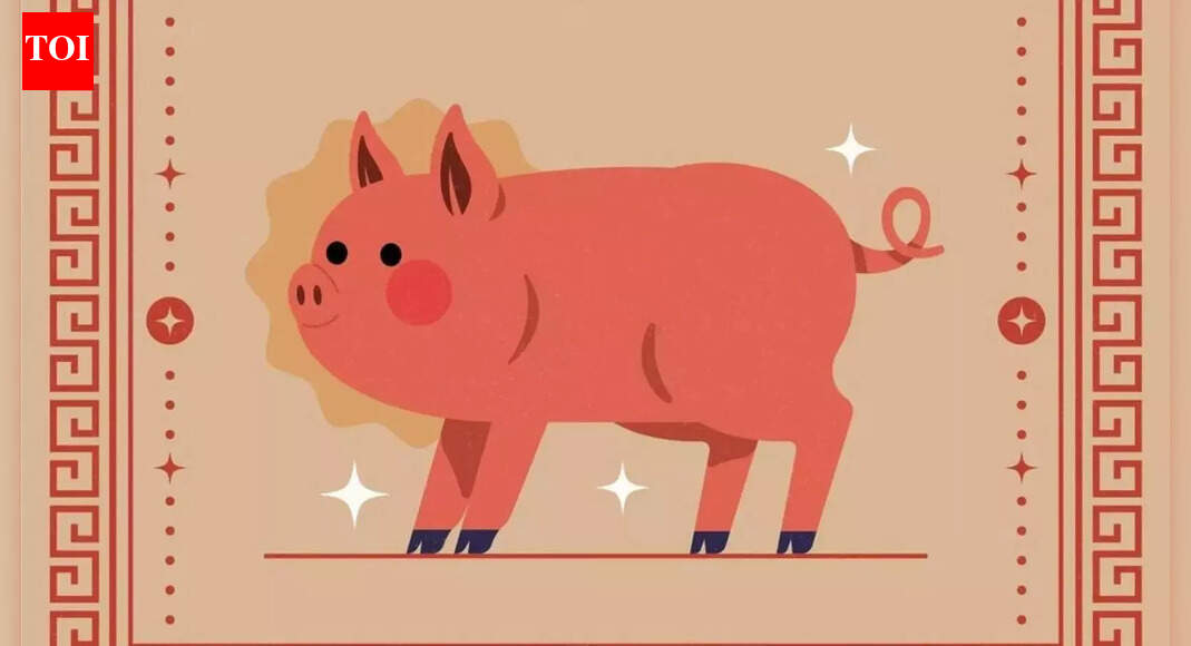 Chinese Pig Zodiac 2026 Horoscope: Jupiter Brings Calm, But Only After You Face What You’re Avoiding