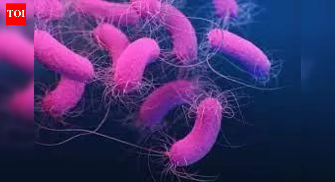 NEW DELHI: A healthy gut may be far more important for women’s bone health than previously believed. New research conducted by AIIMS has uncovered a critical immune mechanism linking gut bacteria to bone loss in postmenopausal women, raising the possibility of preventing osteoporosis through safer, non-hormonal approaches such as probiotics.For decades, osteoporosis was largely seen as a consequence of ageing and declining oestrogen levels. Scientists now say the disease is also driven by immune imbalance — a concept termed Immunoporosis by Dr Rupesh K Srivastava, Additional Professor in Translational Immunology, Osteoimmunology and Immunoporosis Lab, an ICMR-collaborative centre of excellence in bone health.Common myths around menopause we need to stop believingThe latest study shows that oestrogen deficiency after menopause triggers chronic inflammation, which disrupts immune cells responsible for maintaining bone strength. At the centre of this process are regulatory T cells, or Tregs — immune cells that normally help keep inflammation in check. Researchers found that menopause upsets the balance between different Treg populations, particularly those generated in peripheral tissues such as the gut. As this balance collapses, protective Tregs are diverted towards becoming inflammatory Th17 cells, which actively promote bone breakdown.This immune shift, Srivastava says, accelerates bone loss and plays a pivotal role in postmenopausal osteoporosis. Crucially, the study identifies the gut as the primary site where this damage unfolds. The breakthrough came when researchers tested the effect of Lactobacillus acidophilus, a commonly used probiotic. Supplementation with the beneficial bacteria restored immune balance in the gut, reversing the rise in Th17 cells and stabilising protective Tregs. This effect was driven by butyrate, a gut-derived compound known for its anti-inflammatory properties.Even more striking, immune cells “primed” by butyrate showed a significantly reduced ability to activate osteoclasts — the cells responsible for bone erosion — directly linking gut immunity to bone preservation. Researchers say this is the first study to clearly identify a gut-based immune pathway driving postmenopausal osteoporosis. The findings reinforce growing evidence that osteoporosis is not merely a bone disorder but a systemic immune condition influenced by gut health.With long-term safety concerns surrounding many osteoporosis drugs, experts believe the discovery could reshape future treatment strategies. Probiotics and other immune-modulating therapies may eventually complement — or in some cases reduce reliance on — conventional medications, offering women a safer way to protect bone health after menopause. The study adds to mounting scientific consensus: caring for the gut may be key to safeguarding skeletal health.About the AuthorAnuja JaiswalAnuja Jaiswal is a Senior Assistant Editor at The Times of India, with an impressive 18-year career in narrative journalism. She specializes in health and heritage reporting, expertly simplifying complex health information to make it engaging and understandable for readers. Her deep dives into heritage topics are well-researched, resulting in captivating narratives that resonate with her audience. Over the years, she has worked in Chandigarh, Chhattisgarh and West UP, gaining diverse on-ground experience that shapes her storytelling.Read MoreEnd of ArticleFollow Us On Social MediaVideosSupreme Court Halts Bail For Ex-BJP MLA Kuldeep Sengar In Unnao Rape Case, Signals Tough Stand’Called Chinki, Chinese, Momo’: Tripura Student’s Killing In Dehradun Triggers Protests Across StateBangladesh Faces Political Rupture As Student Leaders Back Jamaat While Minority Attacks ContinueAt Least One Dead After Fire Engulfs 2 Coaches Of Ernakulam Express With 158 On Board In Andhra“Violence Being Used to Stop Polls”: Ex-Spy Lucky Bisht on Bangladesh KillingsOwaisi Urges Protection of Bangladesh Minorities Ahead of February Polls‘Love Jihad Claim False’: UP Woman Speaks Out After Bajrang Dal Crashes BirthdayUnnao Rape Case: Activists Protest Outside Delhi High Court Over Sengar BailShashi Tharoor Responds To Digvijaya Singh, Says Congress Needs Discipline, Not Lessons From RSSPakistan FM Says Islamabad Will Proactively Rebuild Relations With Bangladesh Post Polls123PhotostoriesMumbai’s Bhandup Gets Connectivity Boost as New FOB Eases East–West Pedestrian MovementTop 5 richest cities in India by GDP in 2025Winter Special: How to make Lehsuni Chicken Curry for lunch10 Turkish desserts one must try at least once‘Lokah: Chapter One – Chandra’, ‘Laalo’ to ‘Su From So’: Regional movies that won hearts in 20255 major wedding trends of 2025 that might be seen in 2026 too10 most ordered dishes by Indians in 2025Asthma vs bronchitis: Key differences in symptoms and treatment methods10 countries with the highest number of snake species in the worldHow to make South Indian Spinach Idli for breakfast123Hot PicksSilver price todayPAN-Aadhaar linkingCristiano RonaldoGold rate todayIncome Tax RefundIndian Railways fareBank Holidays DecemberTop TrendingMatt Hardy and Reby Sky Net WorthTravis KelcePatrick MahomesRobert Kraft & Gayle Benson Net WorthAjit PawarLebron JamesWWE Raw PreviewUnnao Rape CaseRajkumar BafnaNew York Yankees