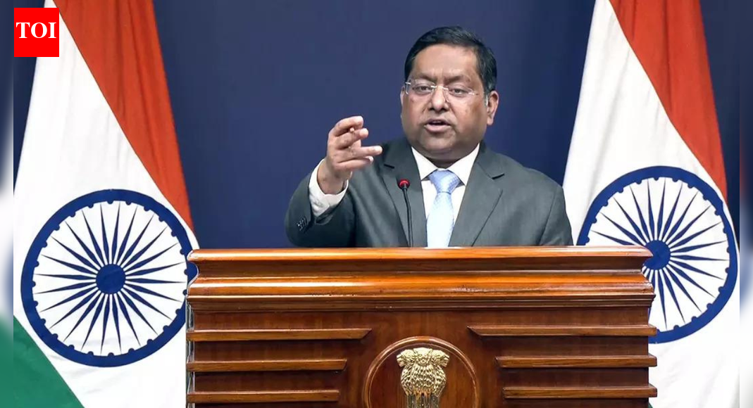 ‘Finger pointing’: India rejects Pakistan’s charges of attacks on minorities; hits back at its own ‘abysmal record’