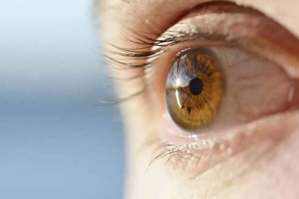 Why blinking can reveal if someone is really listening to you or not |