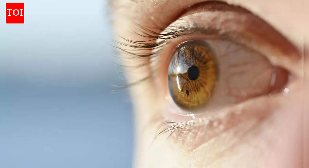 Why blinking can reveal if someone is really listening to you or not |