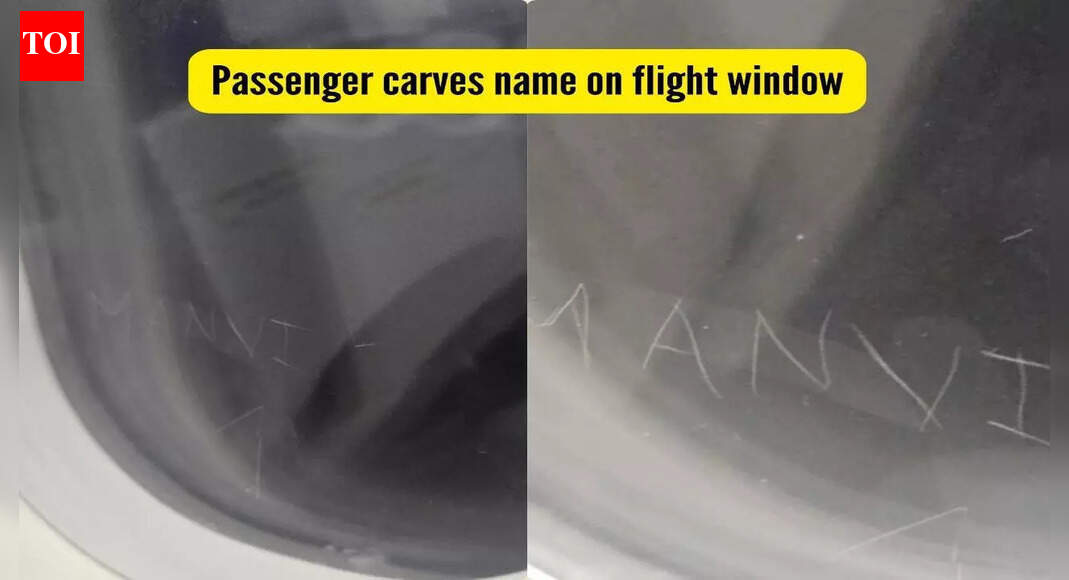 Passenger carves name on an IndiGo flight window; Internet reacts strongly |