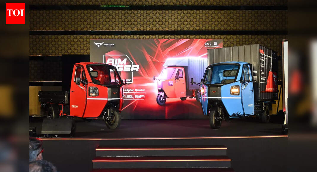 No more subsidy for electric three-wheelers: Govt meets target; ends relief