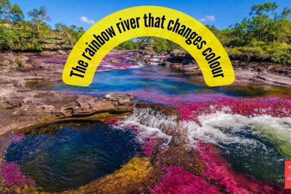 This rare river changes colour every year and is situated in this part of the world…