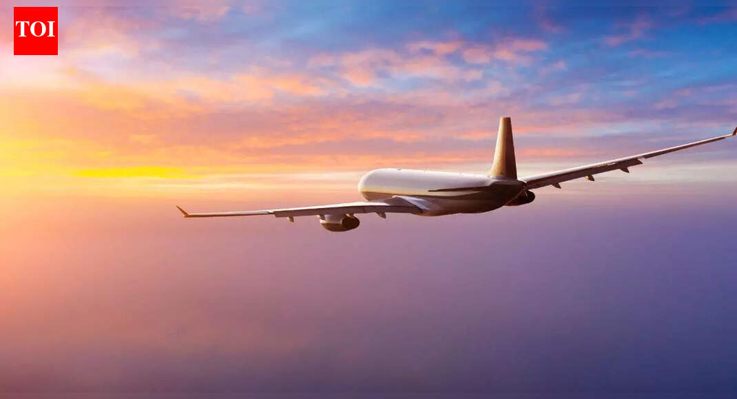 Aviation policy: Adani Group pushes for more international flying rights; airlines caution