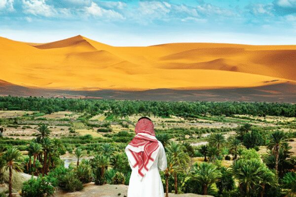 Will Saudi Arabia succeed in turning its vast desert landscape green by planting 10 billion trees? | World News