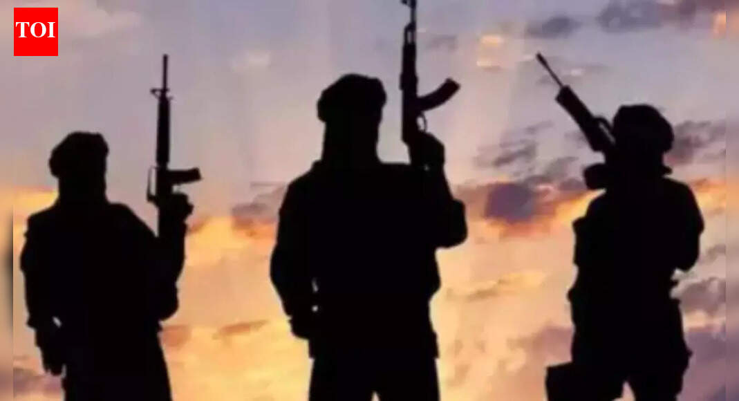 Representative image Police on Thursday attached an immovable property belonging to a Pakistan-based terror handler and launch commander of banned outfits in the Mendhar area of Poonch district, officials said. The action was taken under the Unlawful Activities (Prevention) Act.The attached property includes four marlas and two sarsai of agricultural land located in Nar village of the Nakka Majhari area. Officials said the land belongs to Rafiq Nai, also known as Sultan, a local resident who is currently operating from Pakistan.Army Trains Village Defence Guards In J&K In Automatic Rifles, Self-Defence | WatchAccording to investigators, Nai functions as a handler and launch commander for the banned Tahreek-ul-Mujahideen and the Jammu Kashmir Ghaznavi Force.Officials said investigations have revealed Nai’s involvement in facilitating infiltration, smuggling of weapons and narcotics, and attempts to revive terrorist activity across the Poonch–Rajouri sector. He has been declared a designated terrorist and is wanted in connection with nine criminal cases.The property attachment was carried out by a joint team of Mendhar police and the Revenue Department. Officials said all legal procedures were followed and prior approval was obtained from the competent authority. The market value of the attached land is estimated to be around Rs 10 lakh.About the AuthorTOI News DeskThe TOI News Desk comprises a dedicated and tireless team of journalists who operate around the clock to deliver the most current and comprehensive news and updates to the readers of The Times of India worldwide. With an unwavering commitment to excellence in journalism, our team is at the forefront of gathering, verifying, and presenting breaking news, in-depth analysis, and insightful reports on a wide range of topics. The TOI News Desk is your trusted source for staying informed and connected to the ever-evolving global landscape, ensuring that our readers are equipped with the latest developments that matter most.”Read MoreEnd of ArticleFollow Us On Social MediaVideos180 Kmph While You Sleep! India’s Latest Vande Bharat Sleeper Marks New Era. Check Fares, FeaturesBJP Leader Attacks Shah Rukh Khan Over KKR’s Bangladeshi Cricketer Amid Hindu Lynching in BangladeshRajnath Singh Links Lord Ram’s Ethics To Operation Sindoor, Says India Fought Terror With DignityCleanliness Crown Cracks As Indore Loses 13 Lives To Poisoned Water And Administrative Lapses’India Belongs To Everyone’: RSS Chief Mohan Bhagwat After Tripura Student Dies In Racial AttackIndia’s Silent Warriors On Kartavya Path Bring Army’s Battle-Tested Animals To Republic Day ParadeMidnight To Morning: How India Rang In 2026 With Fireworks Prayers Music And Mass CelebrationsKhaleda Zia’s funeral: EAM Jaishankar Hands Over Modi’s Letter To BNP Chief Tarique Rahman In DhakaThrowback 25: Five Indian Weapons That Crushed Terror And Dominated Pakistan in Operation SindoorTerror, Tariffs, Polls: PM Modi’s Mic-Drop Moments That Set The Agenda In 2025123PhotostoriesBengaluru’s Bottleneck Breaker: Hebbal’s New Flyover Ramp That Promises Smoother Drives5 unbelievable predictions by Leonardo da Vinci ahead of his timeBengaluru’s Next Big Bypass: Twin Tunnel–Flyover Plan Set To Reshape Ballari Road10 powerful foods that naturally cut down cholesterol3 detox drinks to cleanse the system after New Year celebrations3 desi seeds that beat expensive serums for hair shine (and how to use them)TV celebrities wishes for a Happy New Year: From Hina Khan to Pranit More, Ashnoor Kaur, and more7 oldest restaurants in india that still serve history on a plate10 signs you are raising an intelligent childPartied hard for the New Year 2026? 5 fruits that may help with hangovers123Hot PicksSaudi Strike YemenPAN-Aadhaar link statusBank holiday New YearGold rate todayIncome Tax RefundBahrain Golden Visa 2025Bank Holidays DecemberTop TrendingJustin Thomas Net WorthWWE Star Nikki BellaCardi BCeeDee Lamb Luxury Car CollectionStefon DiggsCaitlin ClarkTom BradyMicah Parsons vs CeeDee Lamb Net WorthNHL Injury UpdateVanessa Bryant