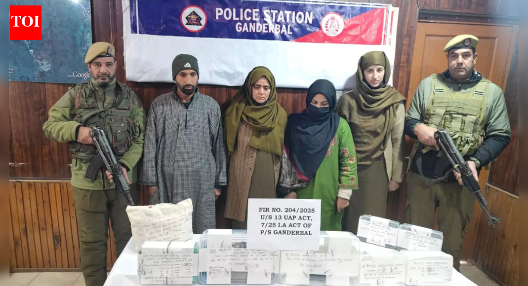 J&K crackdown: 2 terror associates nabbed with arms, grenades in Ganderbal; SOG recovers rifle in Doda forest | India News