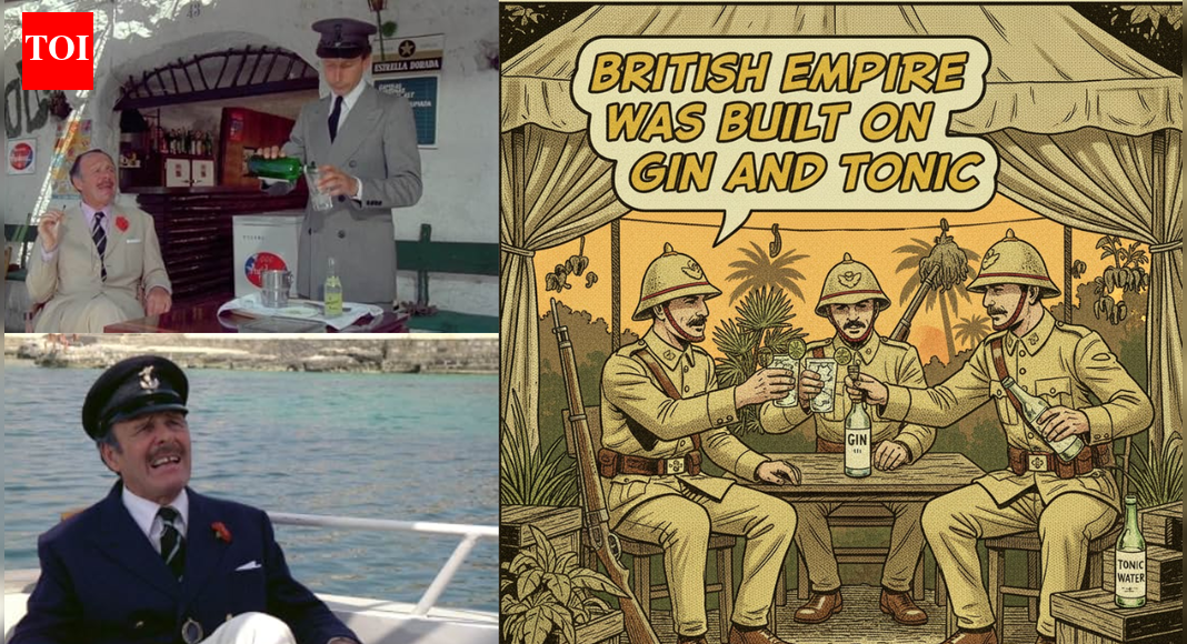 Viral Instagram reel explains why British empire was built on gin and tonic |