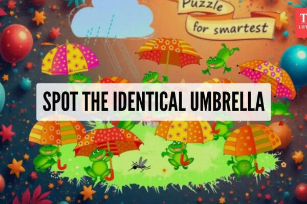 Optical illusion: Only those who have detective-level observation skills can find the identical umbrella