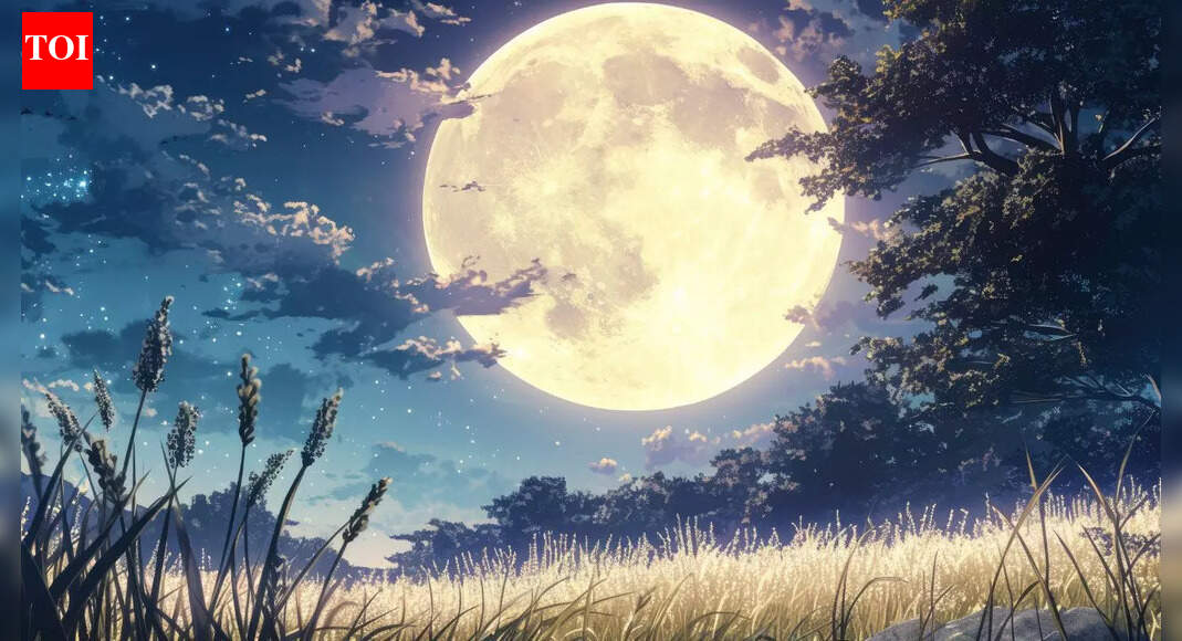 9 Things you must do on full moon night 2026 Based on your birth date