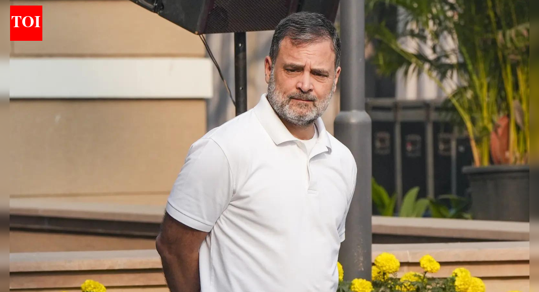 ‘Reality check’: BJP cites Karnataka govt survey to slam Rahul Gandhi; ridicules ‘vote chori’ charge | India News