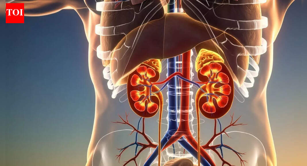 What is the parsley trick for kidney support and why people still use it |