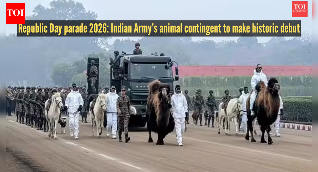 Republic Day parade 2026: In a first, Indian Army’s animal contingent, featuring Bactrian Camels, dogs, Zanskar Ponies to march on Kartavya Path