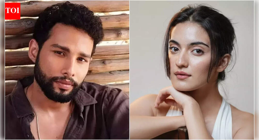 Pratibha Ranta and Siddhant Chaturvedi finally break their silence on ‘Dear Comrade’ Hindi remake, ‘Wait for an official announcement’